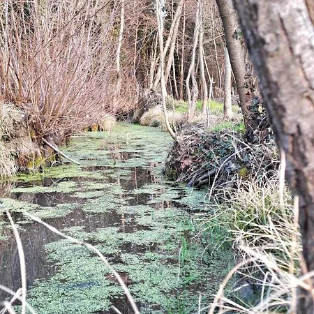 Babi La Tappa Di Novaretto 3* Caprie