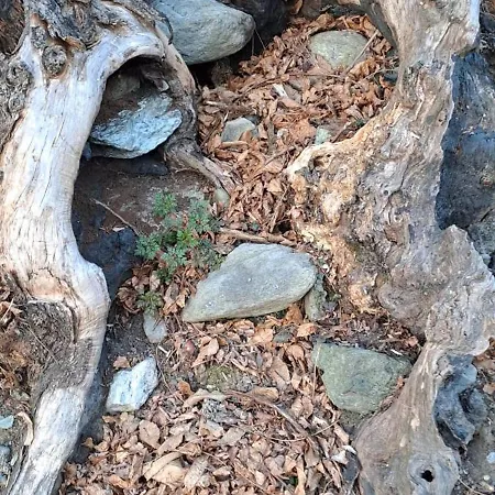 Babi La Tappa Di Novaretto Guest house